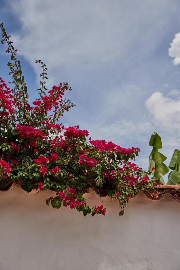 Hotel Santos De Piedra - Maranatha בריצ'ארה מראה חיצוני תמונה